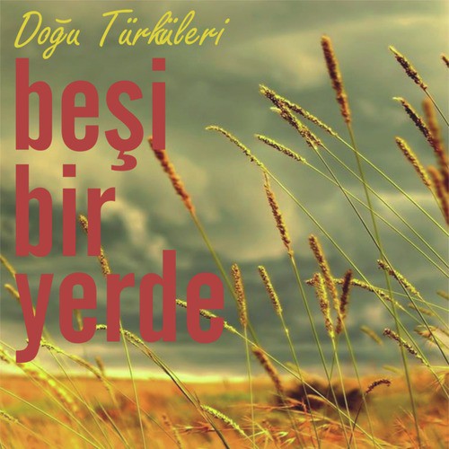 Garip Kuştu Gönlüm cover art
