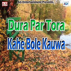 Dura Par Tora Kahe Bole Kauwa-HgIJAkx9Ynw