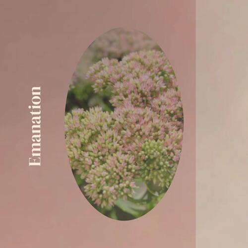 Hereinafter cover art