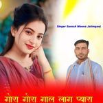 Gora Gora Gal Lag Pyara