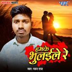 Humke Bhulaile Re