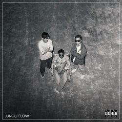 JUNGLI FLOW