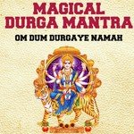 Magical Durga Mantra : Om Dum Durgaye Namah