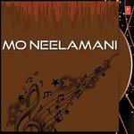 Mo Neelamani