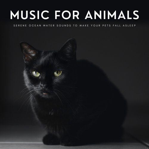 Soothing Pets cover art