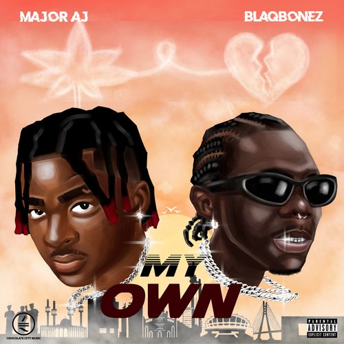 My Own (feat. Blaqbonez)_poster_image