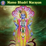 Namo Bhadri Narayan