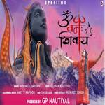 Om Namah Shivaya