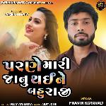 Parne Mari Janu Thai Ne Bahu Raji