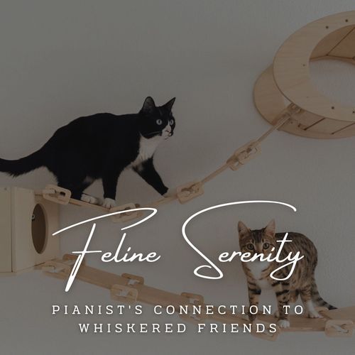 Piano Feline Serenity: Tranquil Melodies for Cats_poster_image