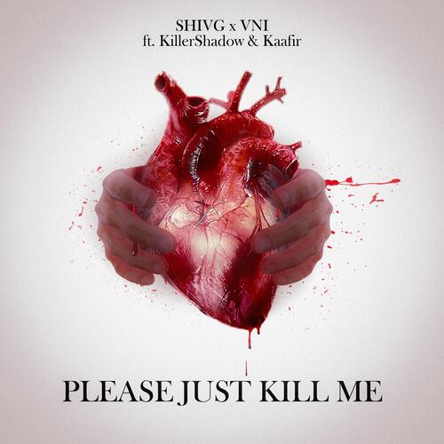 Please Just Kill Me_poster_image