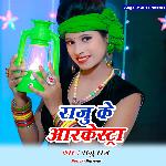 Raju Ke Arkestra
