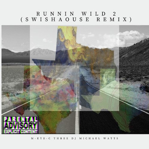 Runnin Wild 2 (Swishaouse Remix)_poster_image