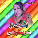 Rawalay Mala Dibar Tash Dedan Ye artwork