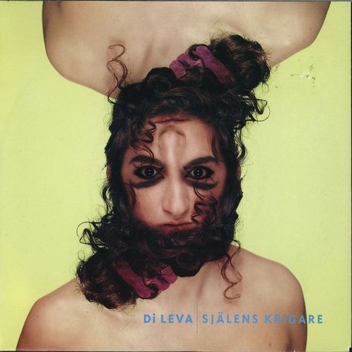 Struntar i dig cover art