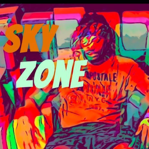 Skyzone cover art