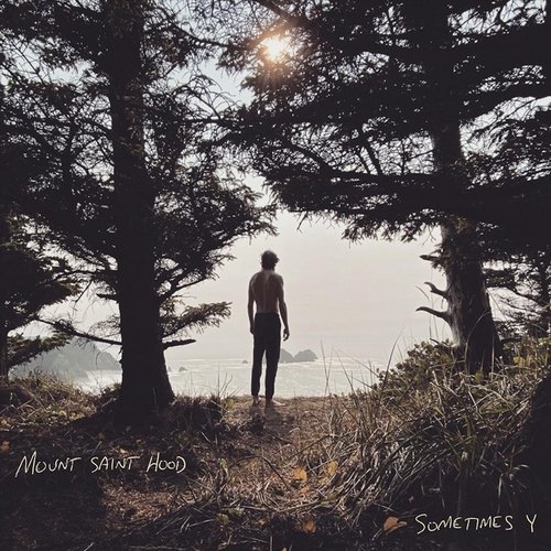 Medicine Bow cover art