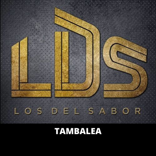 Verdad de Dios / Son del Sabor / Son del Ocoxuchitl / Carnaval Putleco cover art