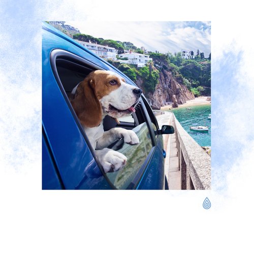 Visualisation Claire de l'Oasis de la Terre