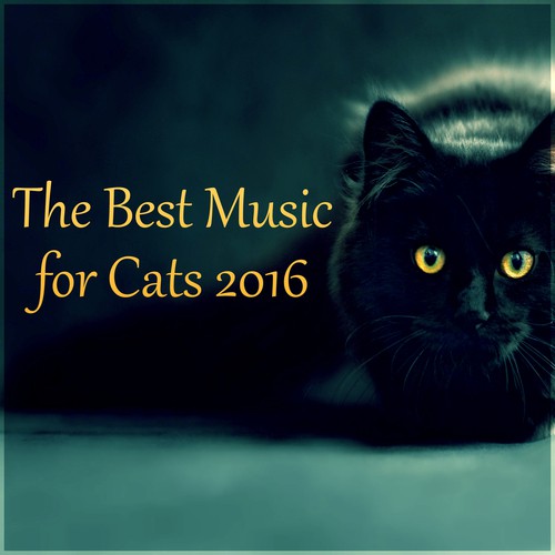 The Best Music for Cats 2016 – Peaceful Sounds to Calm Down Your Pet, Anti-Stress Music
