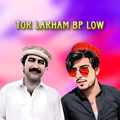 Tor Larham Bp Low