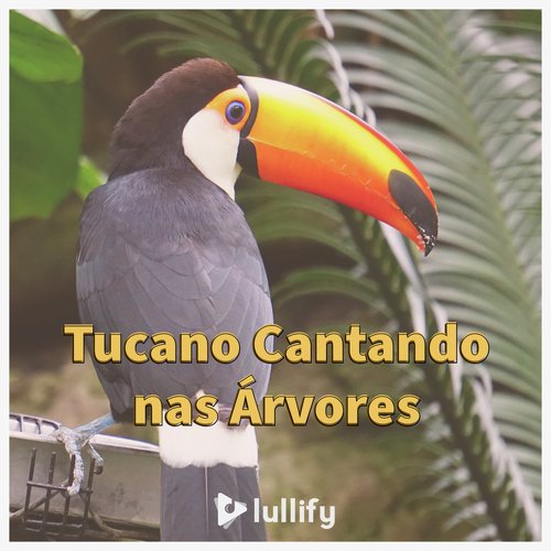 Kiwi em Distância cover art