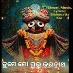Tume Mo Pravu Jagannath