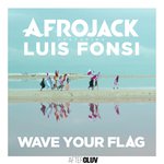 Wave Your Flag