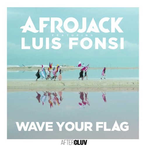 Wave Your Flag_poster_image