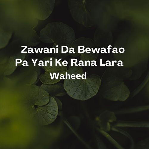 Zawani Da Bewafao Pa Yari Ke Rana Lara