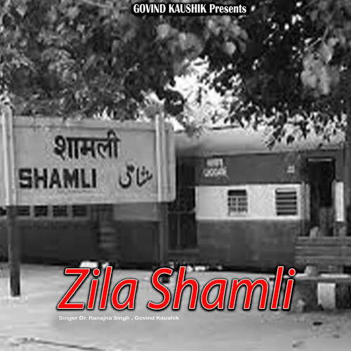 Zila Shamli