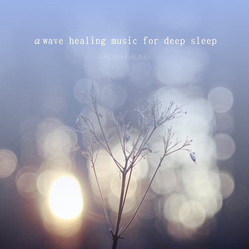 Healing forest cover art