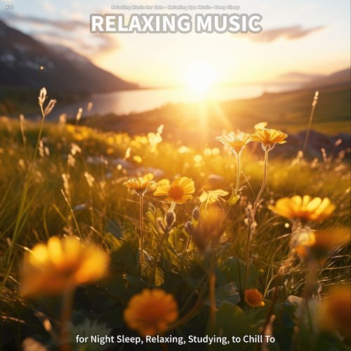 #01 Relaxing Music for Night Sleep, Relaxing, Studying, to Chill To_poster_image