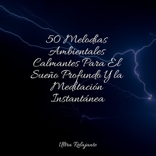 Olas de Relajación cover art