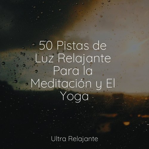 50 Pistas de Luz Relajante Para la Meditación y El Yoga_poster_image