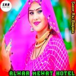 ALWAR MEWAT HOTEL