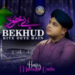 BeKhud Kiye Dete Hain