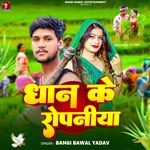 Dhan Ke Ropaniya