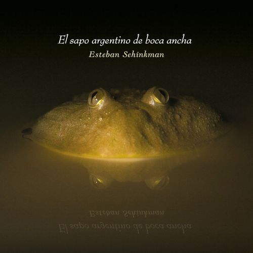 Mantra