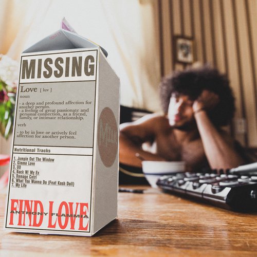 Find Love_poster_image