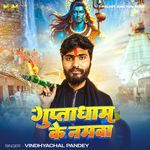 Guptadham Ke Namwa artwork