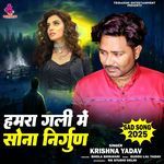 Hamara Gali Se Sona Nirgun