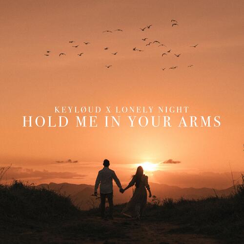 Hold Me In Your Arms_poster_image