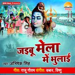 Jaibu Mela Me Bhulai