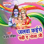 Jalwa Kaise Chadhi Ye Bhola Ji