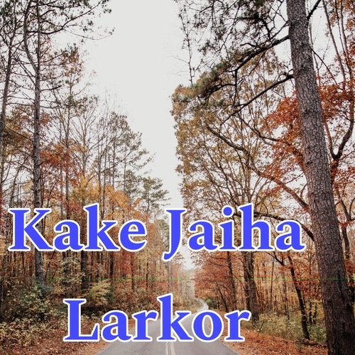 Kake Jaiha Larkor