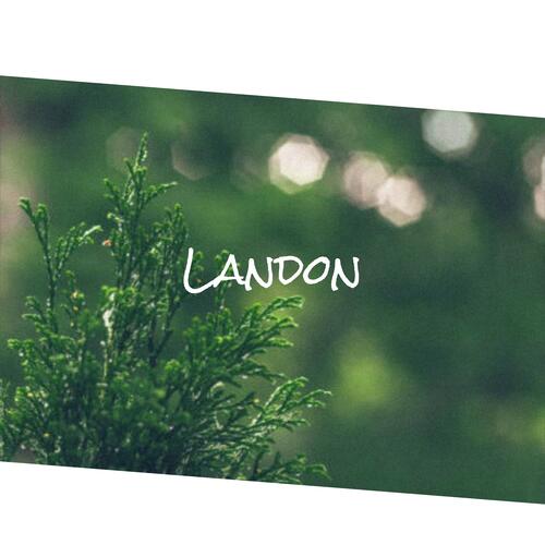 Landon cover art