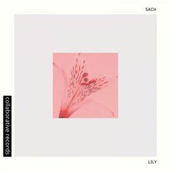 Lily-QxgvCRMGBUo