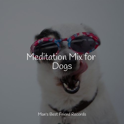 Meditation Mix for Dogs