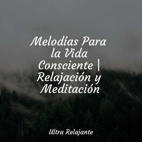 Naturaleza cover art